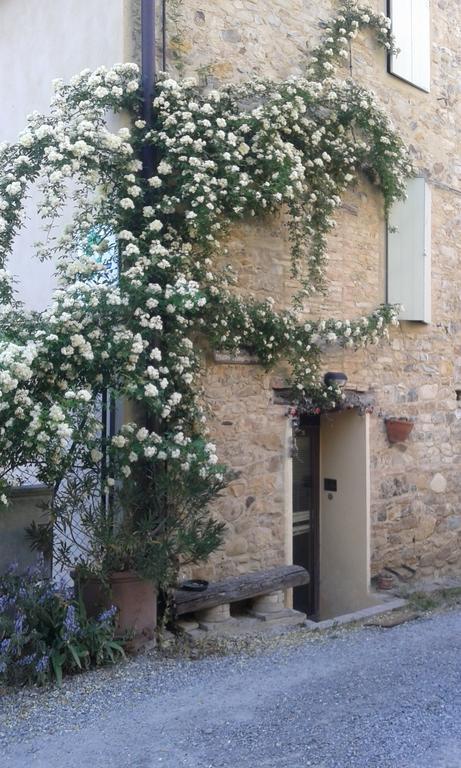 Agriturismo Il Gelso Traversetolo Екстер'єр фото