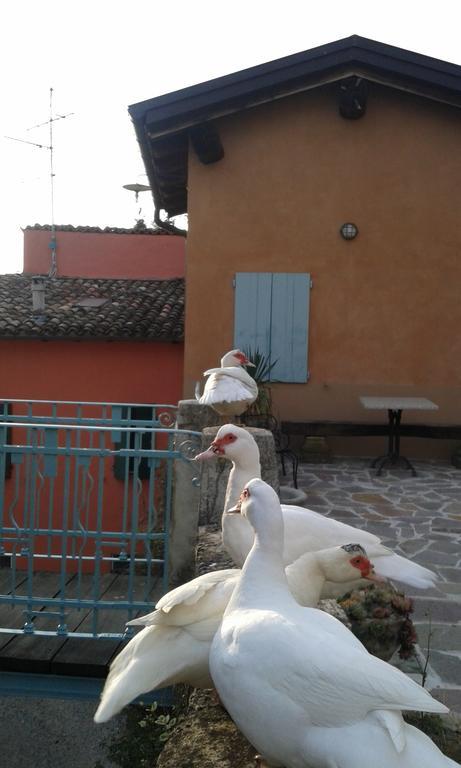 Agriturismo Il Gelso Traversetolo Екстер'єр фото