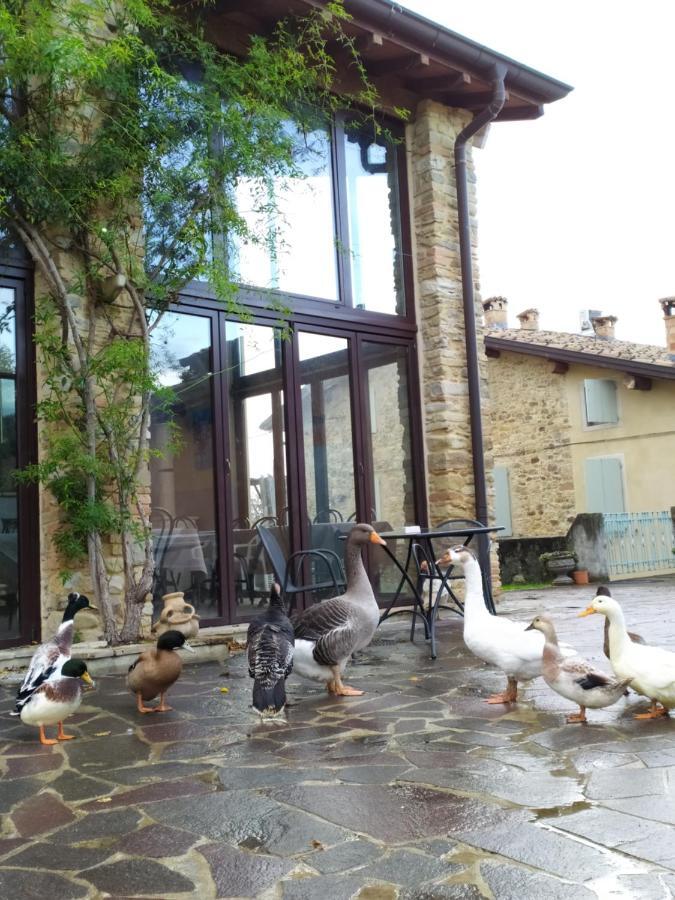 Agriturismo Il Gelso Traversetolo Екстер'єр фото